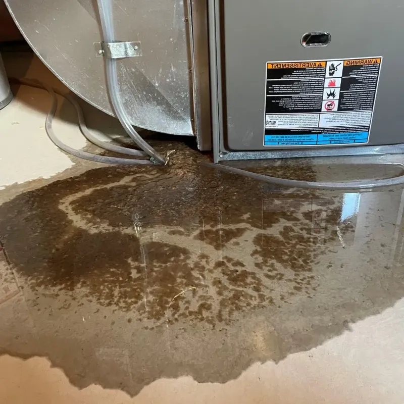 Pipe Burst and Leak Restoration in Ellenville, NY